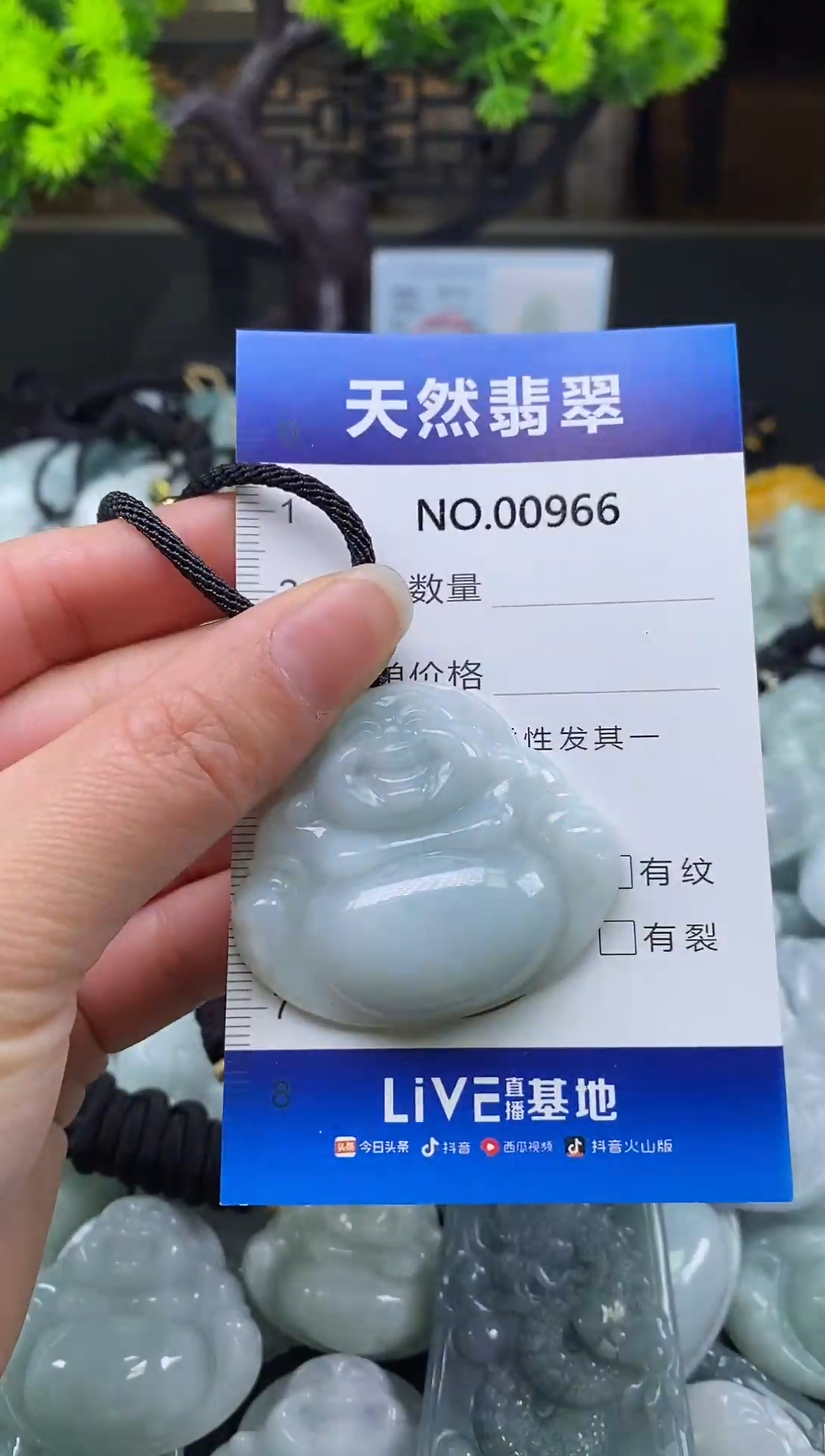 未镶嵌挂件翡翠天然缅甸翡翠966