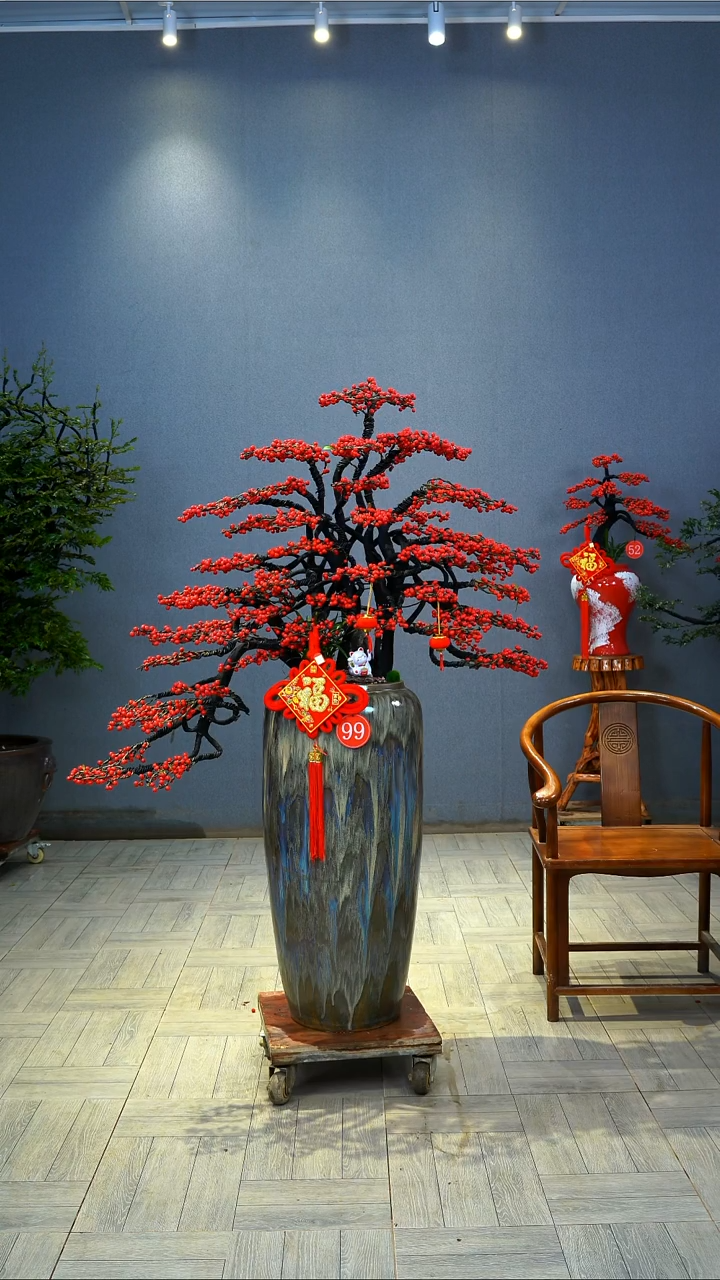 当前无花朵，栽培后可花朵莲*北美冬青