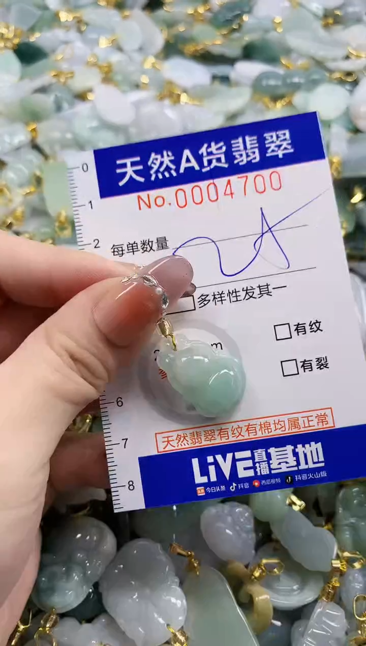 颈饰未镶嵌翡翠天然A货翡翠