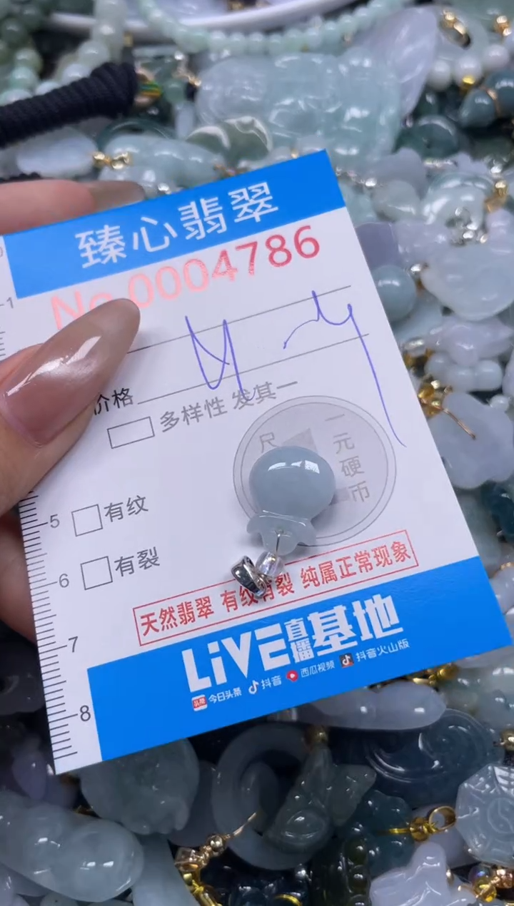 颈饰未镶嵌翡翠4786