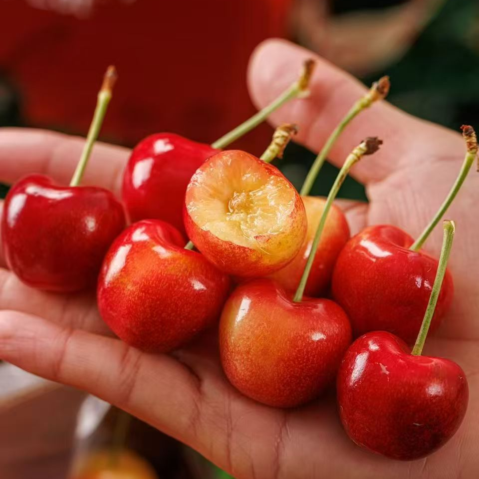 空运斯凯拉雷车厘子 2J 甜度高果肉脆嫩爽口 一件4斤 内附果径卡智利