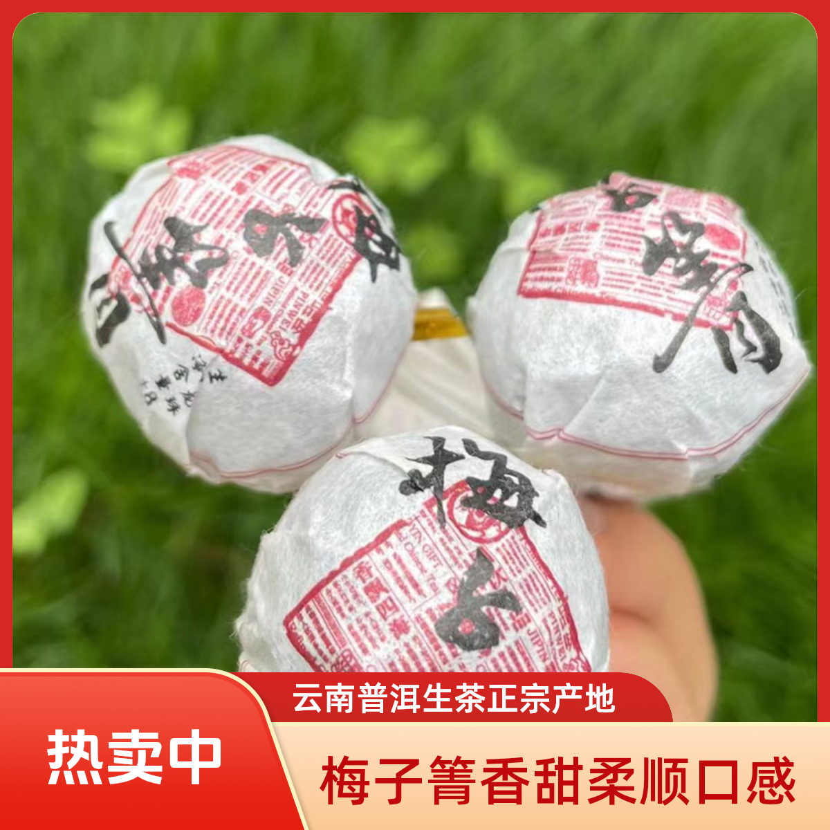 【云南普洱茶生茶】【梅子箐】正山2024年梅子箐7-8克龙珠（香甜柔顺)