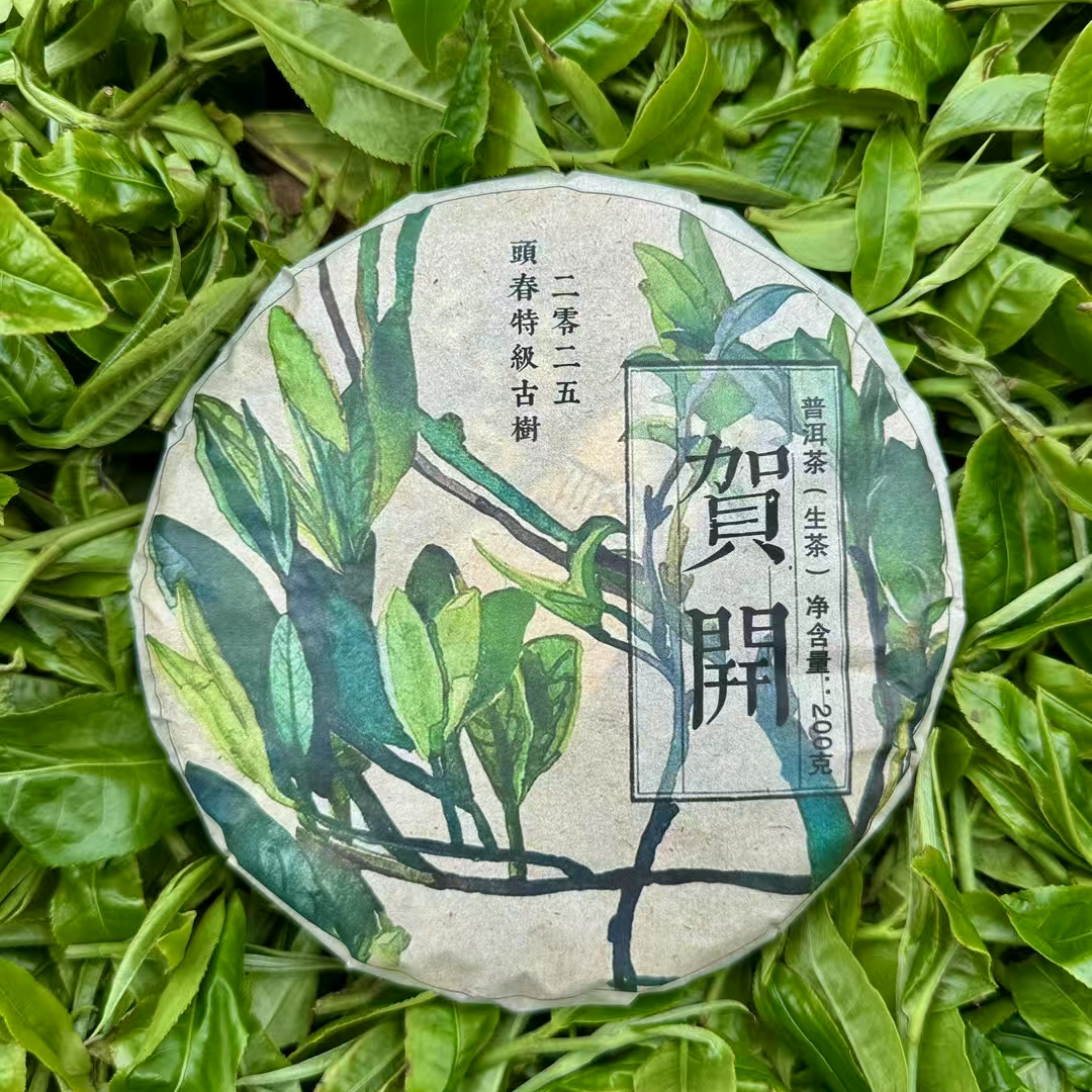 【茶山小原】2025年贺开古树头春 普洱茶生茶饼200克/饼