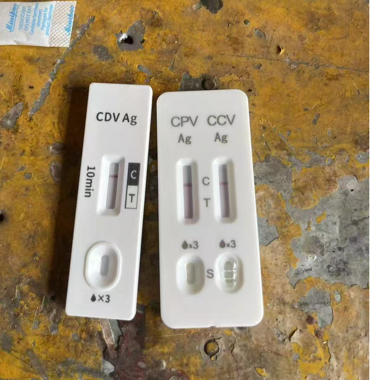 流浪家宠物狗狗检测试纸健康检测（狗狗健康试纸）