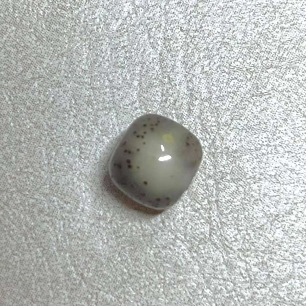 海南原生态星月菩提