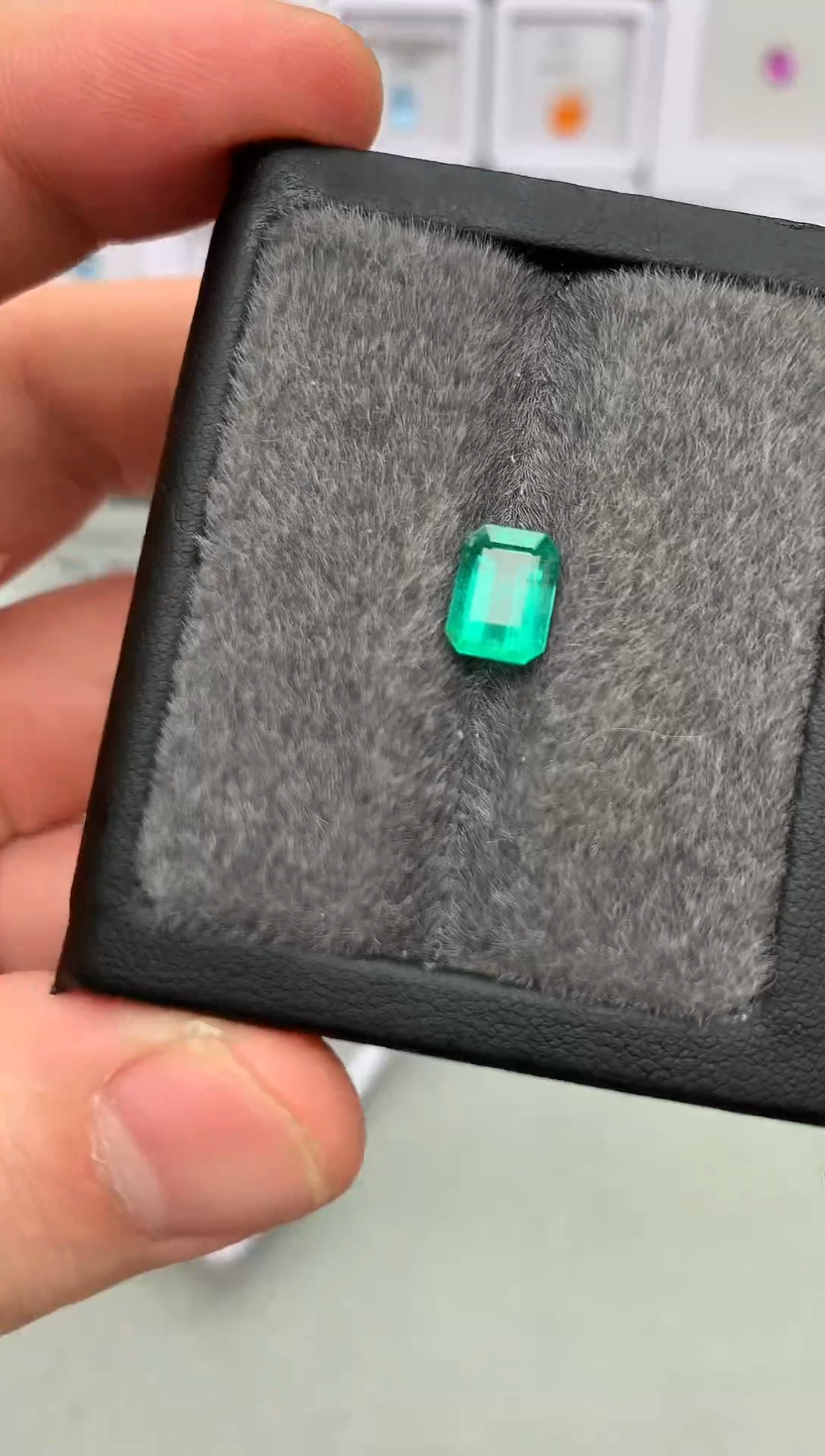 【闪购商品】祖母绿裸石未镶嵌19-24 祖母绿裸石