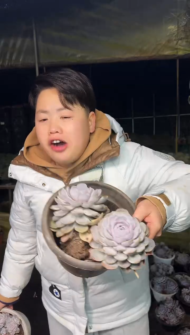 散群2头起汉堡 1.99 