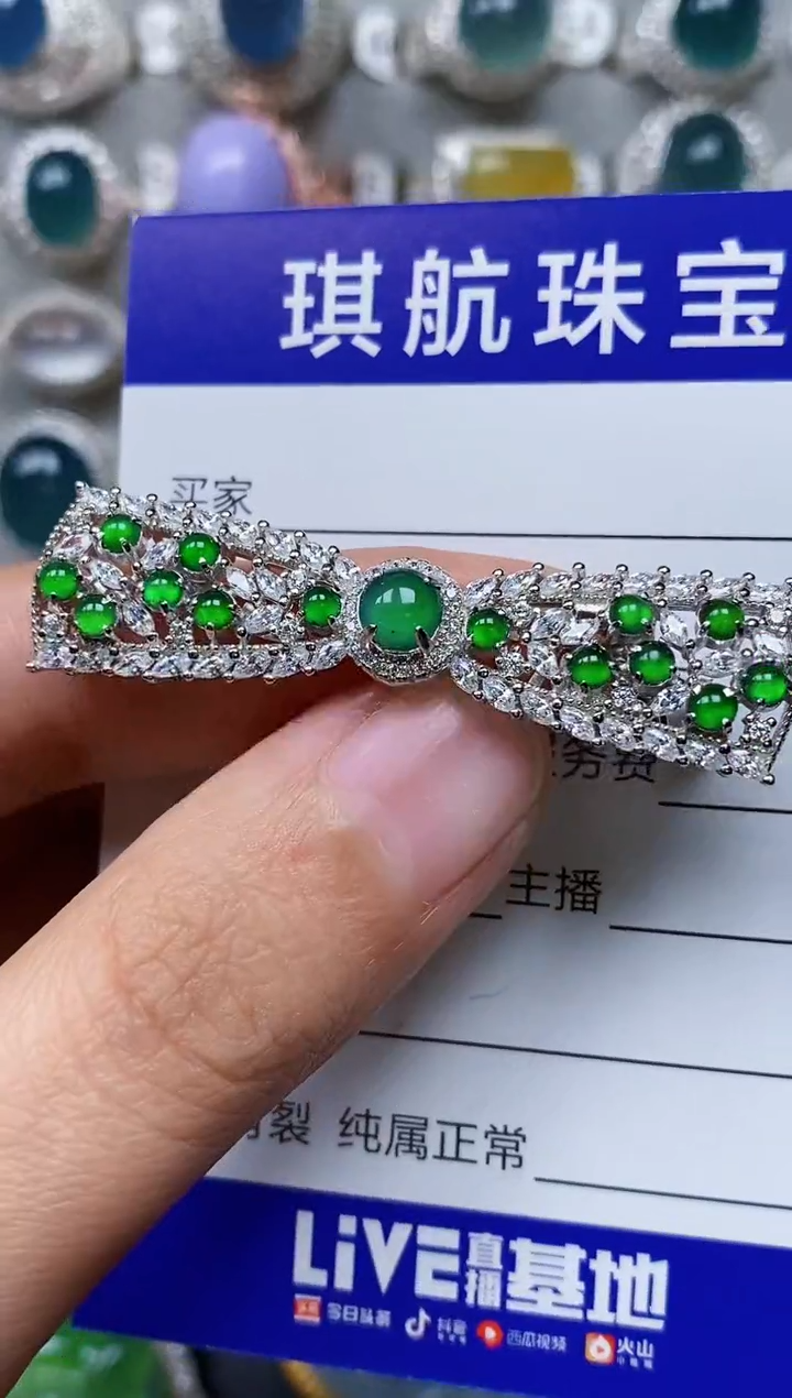 【闪购商品】翡翠颈饰银S925镶嵌0676