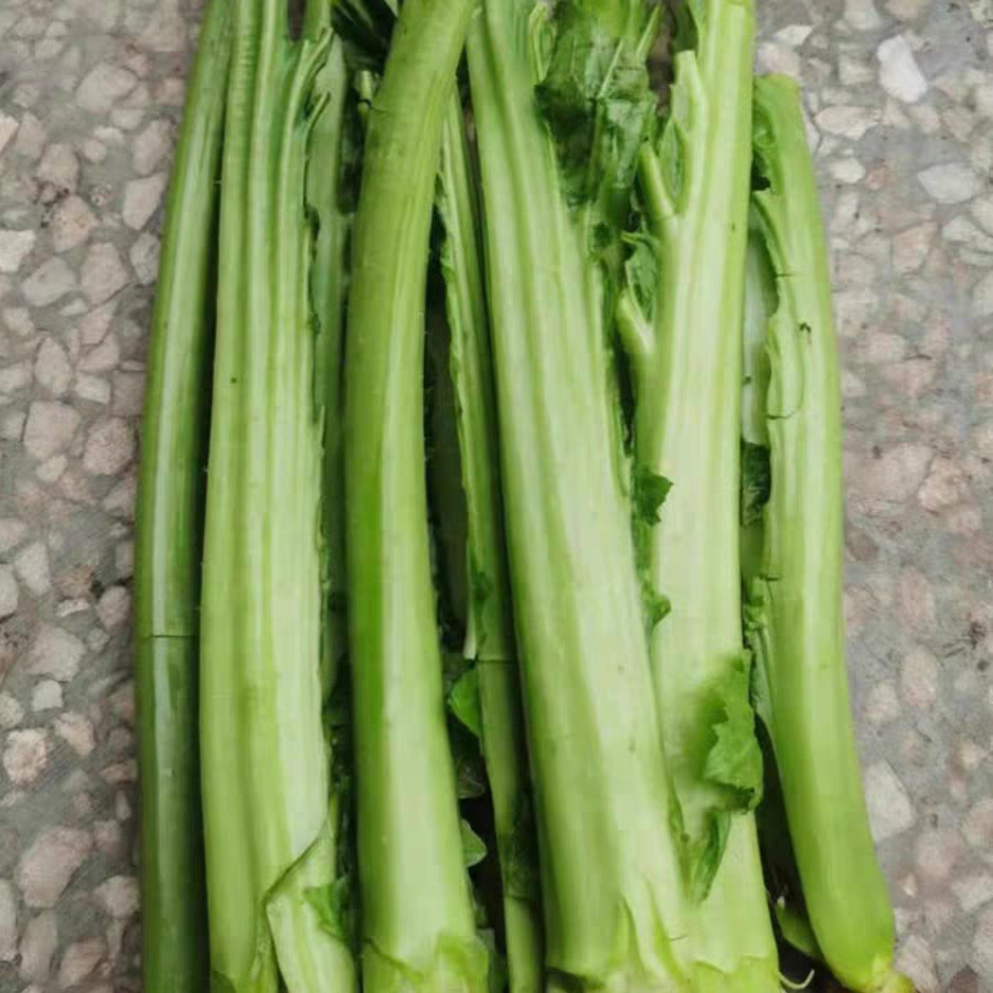 新鲜青菜梗包邮重庆泡菜素材农家菜产地直销农家自种四川榨菜杆