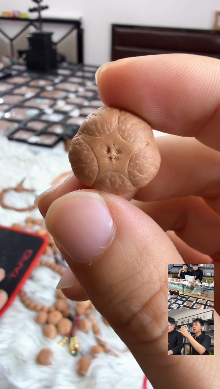 吊坠凤眼菩提4105 三通 尼泊尔 19mm 正派大星