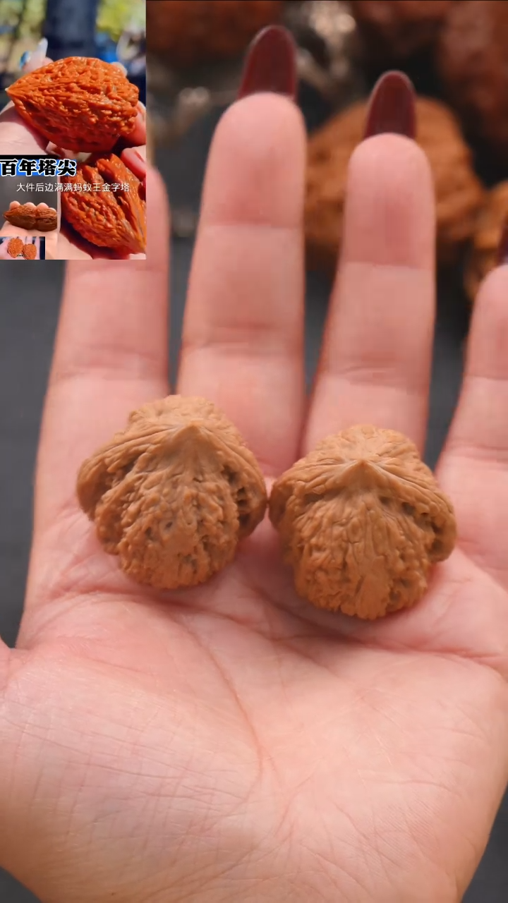 【闪购商品】文玩核桃把件32蚂蚁王金字塔