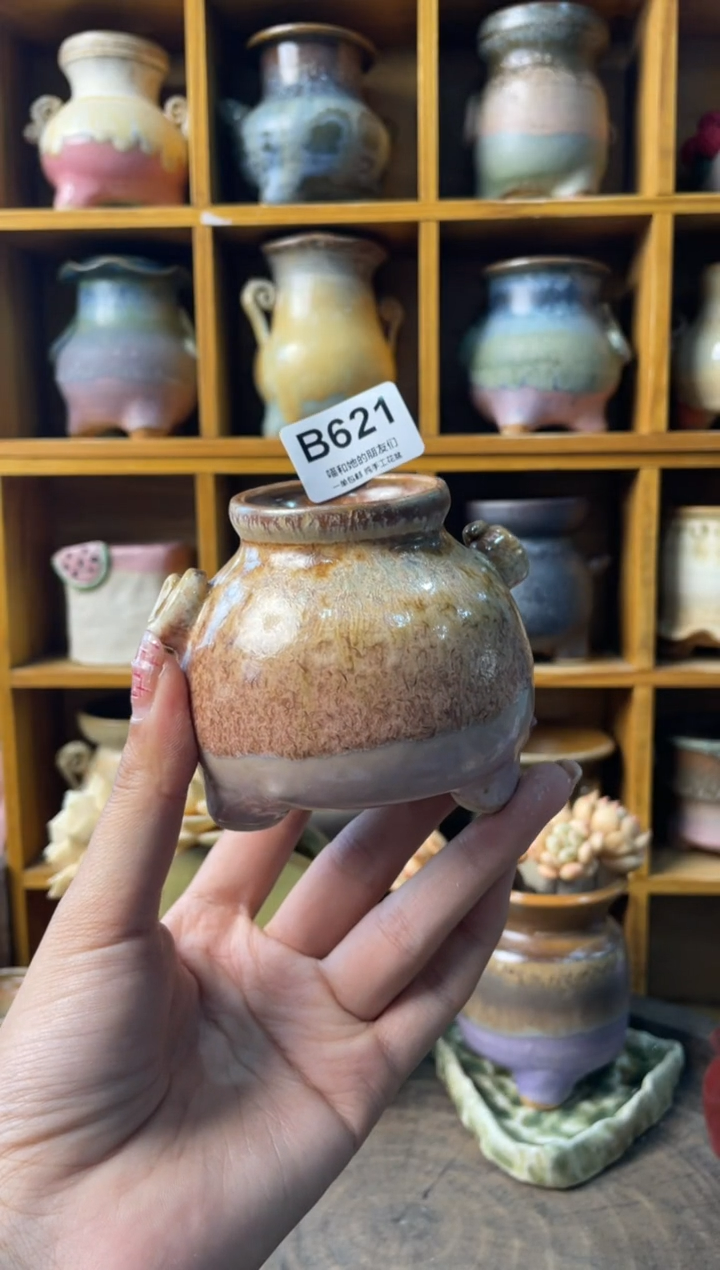 621内口4【多肉花盆多肉盆】