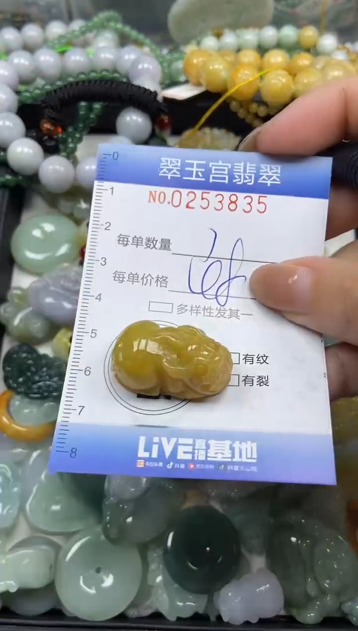 颈饰未镶嵌翡翠闪购C0253835