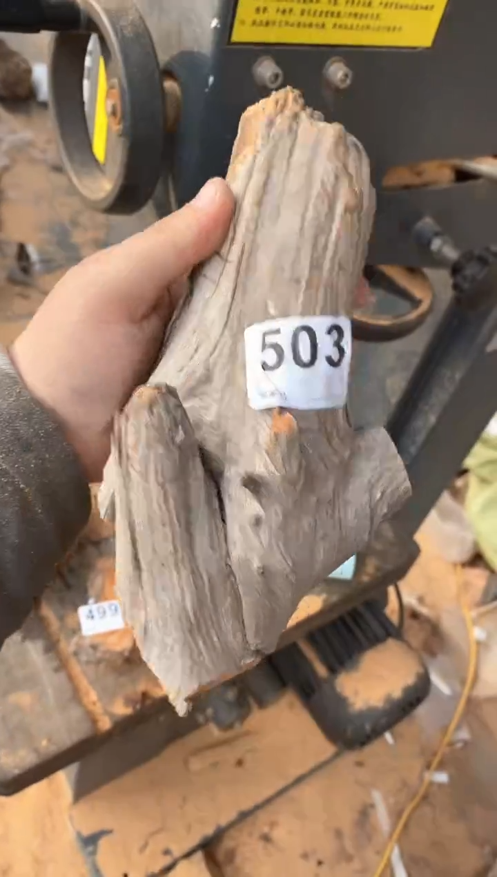 【闪购商品】柏木太行陈化崖柏（津诚林）切片