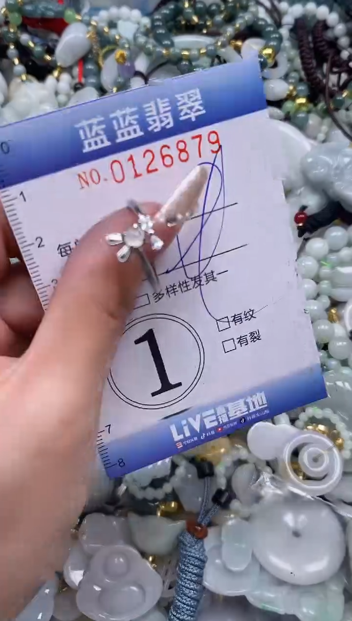 【闪购商品】翡翠颈饰未镶嵌闪购0126879