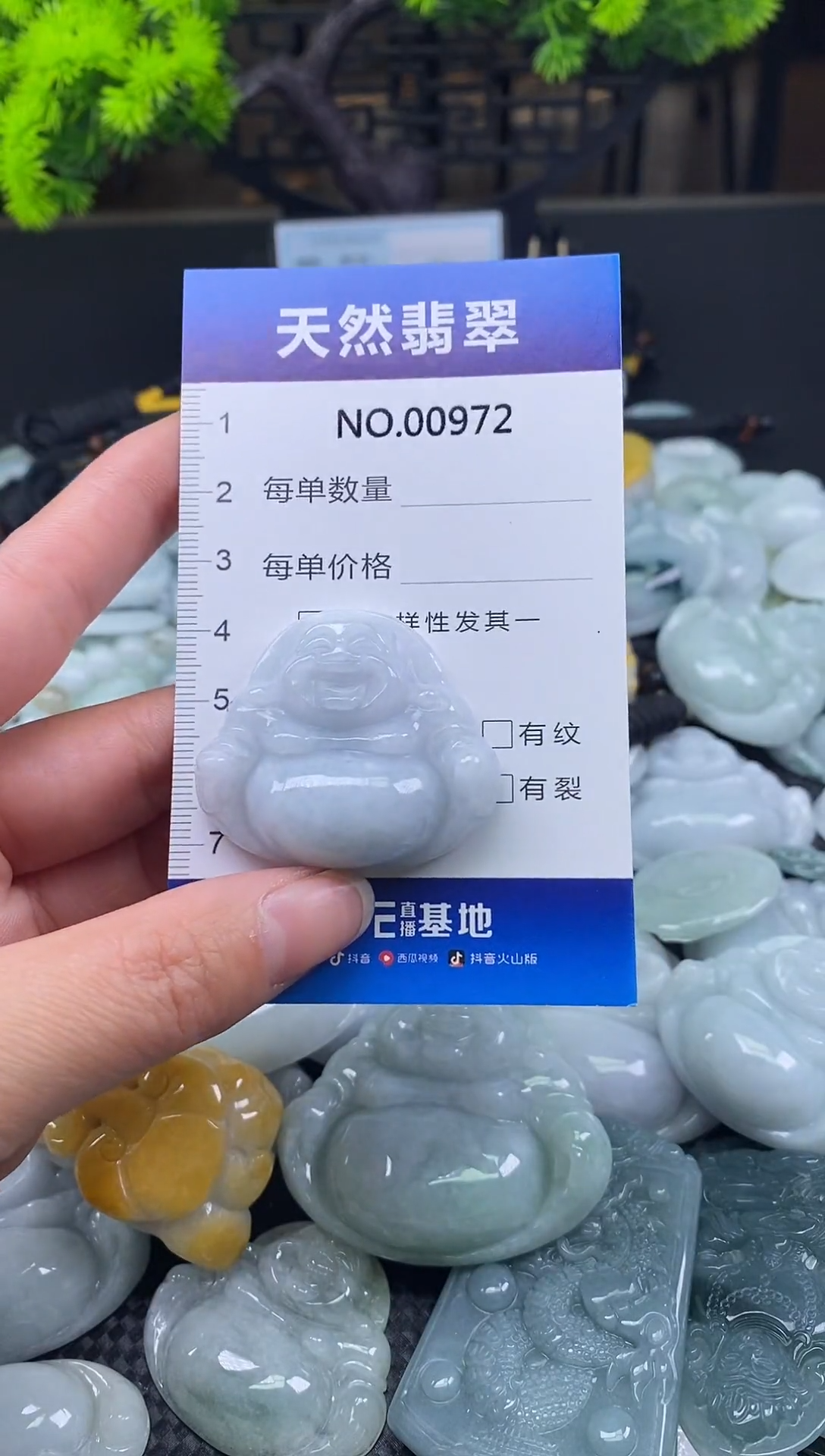 颈饰未镶嵌翡翠天然缅甸翡翠972