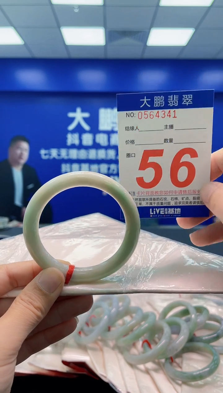 未镶嵌手镯翡翠AAAAAAAAA