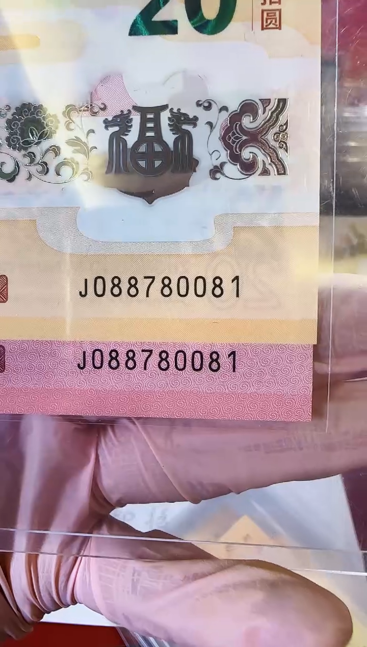 【闪购商品】塑料2025蛇钞全同号啊啊啊啊啊啊啊啊啊啊裸