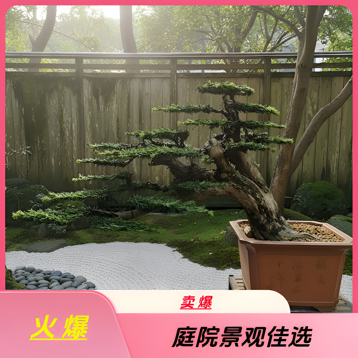 瑞景阁园艺一物一拍专项链接