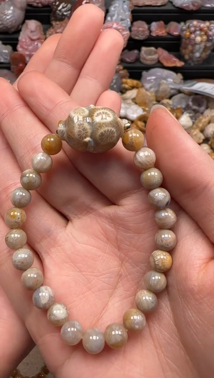 【闪购商品】硅化珊瑚（珊瑚玉）颈饰未镶嵌047