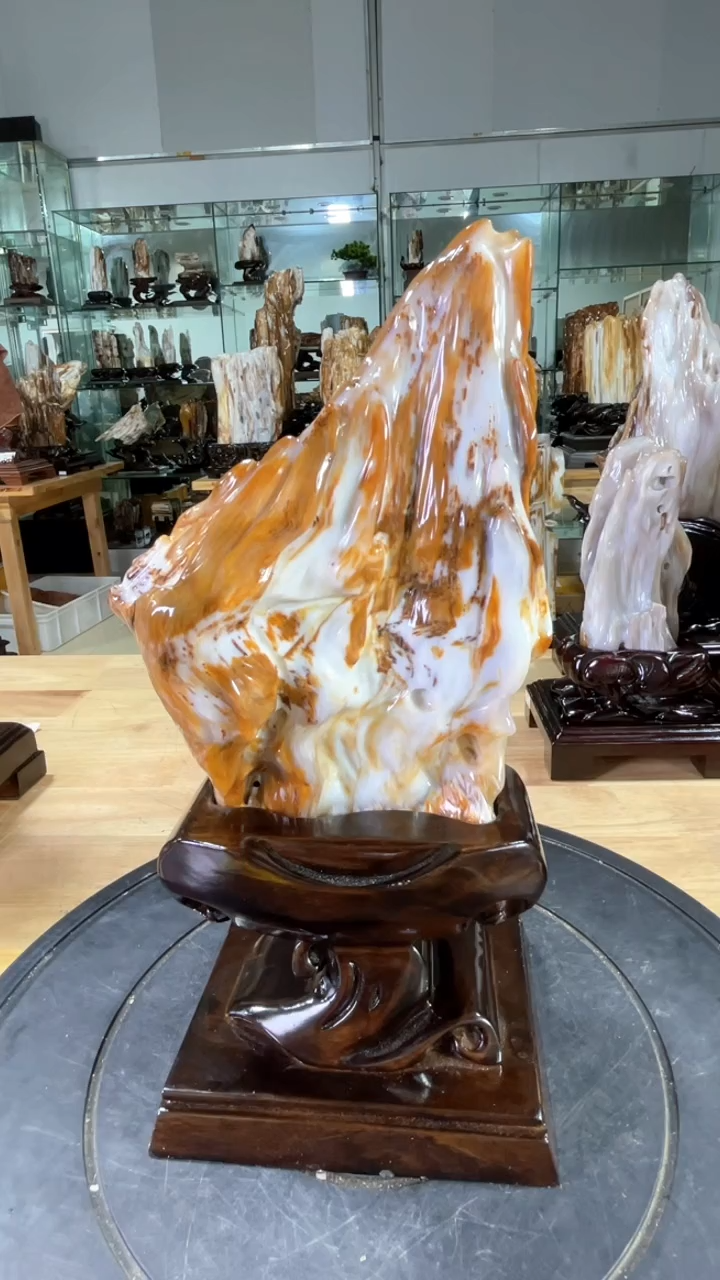 【闪购商品】硅化玉珠宝奇石未镶嵌480