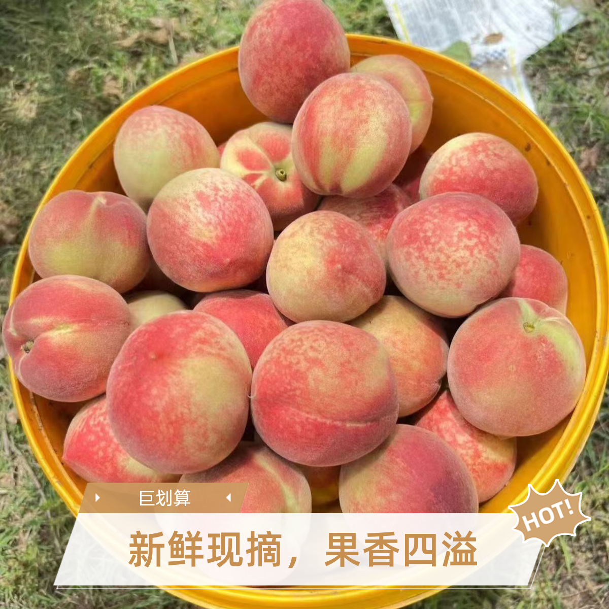 湖北突围水蜜桃硬吃脆爽软吃爆汁新鲜现摘脆甜多汁