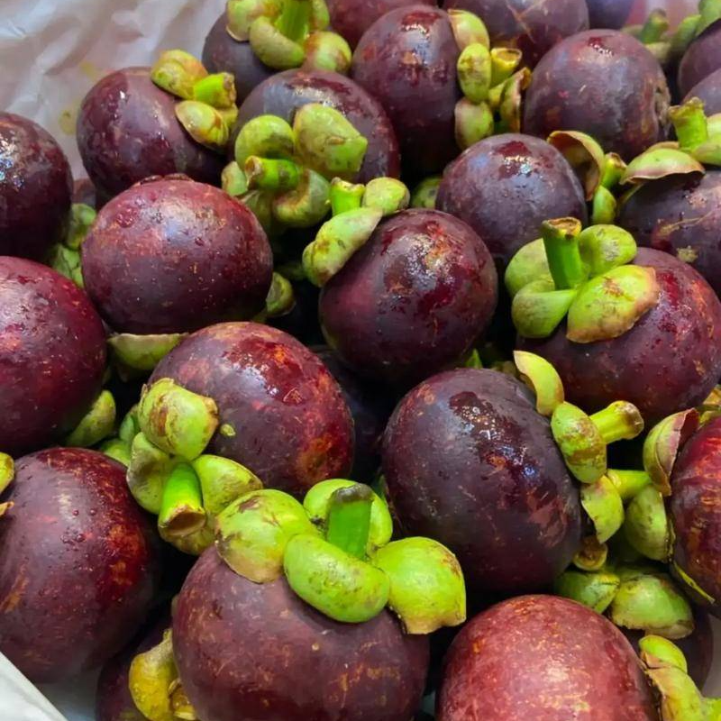 泰国进口5A山竹约500g±10g/份（一个果肉出现变色，不影响食用）新鲜