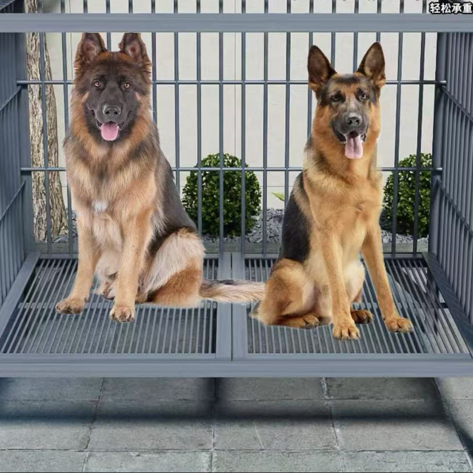 牧羊犬专用订金链接以直播间讲解为主，一物一拍