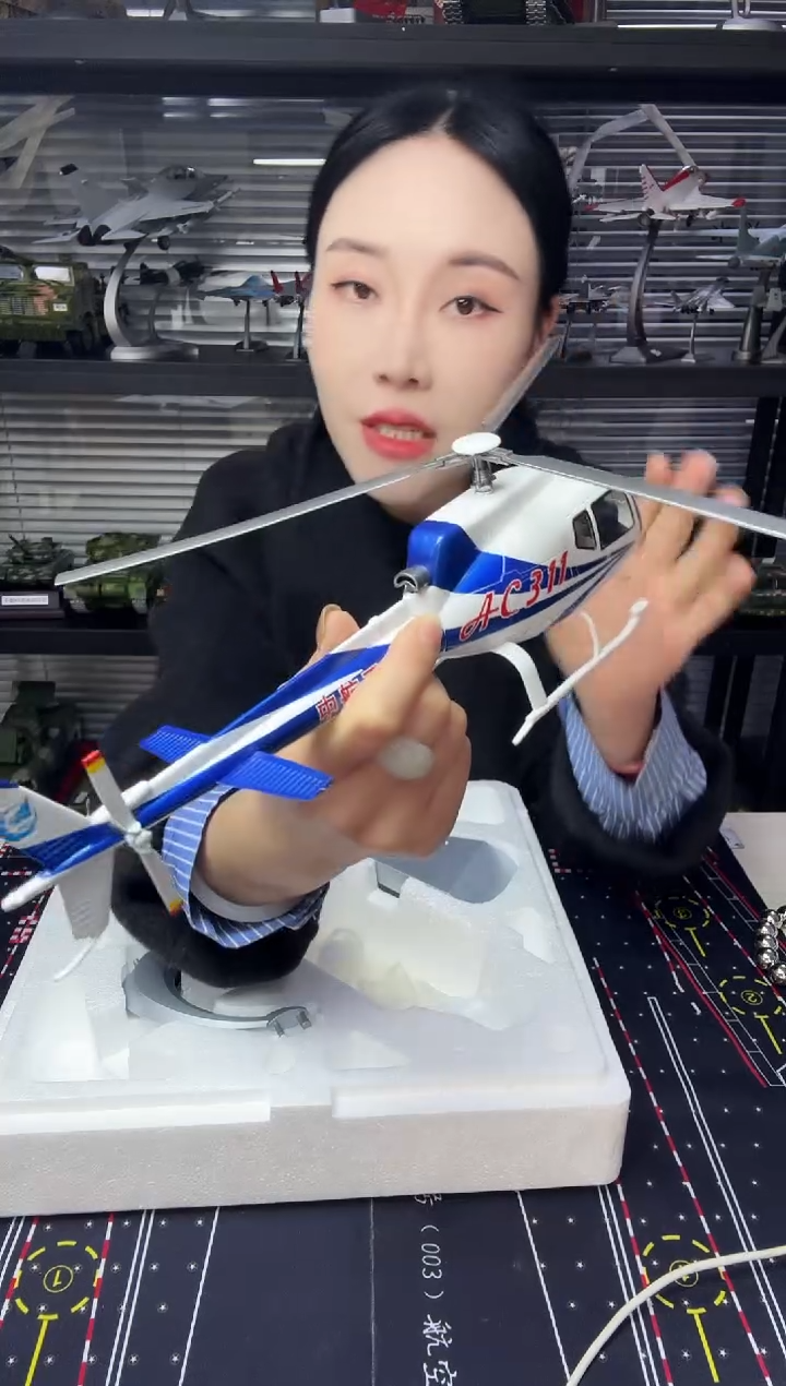 AC311飞机模型      
