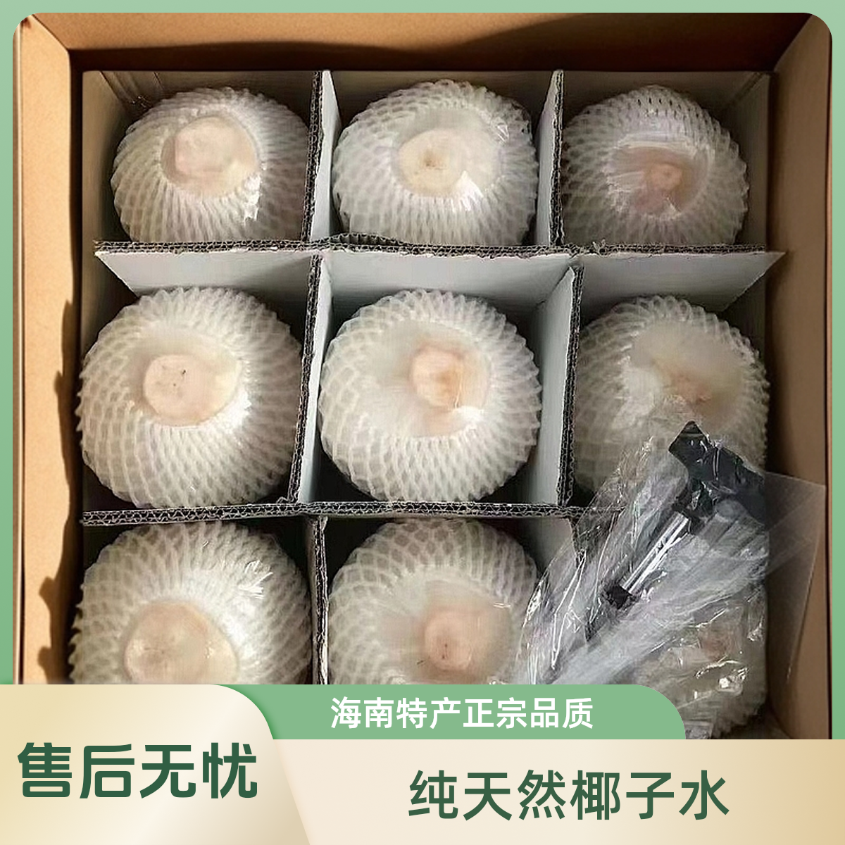 海南椰青新鲜现摘椰子鸡汤当天发货
