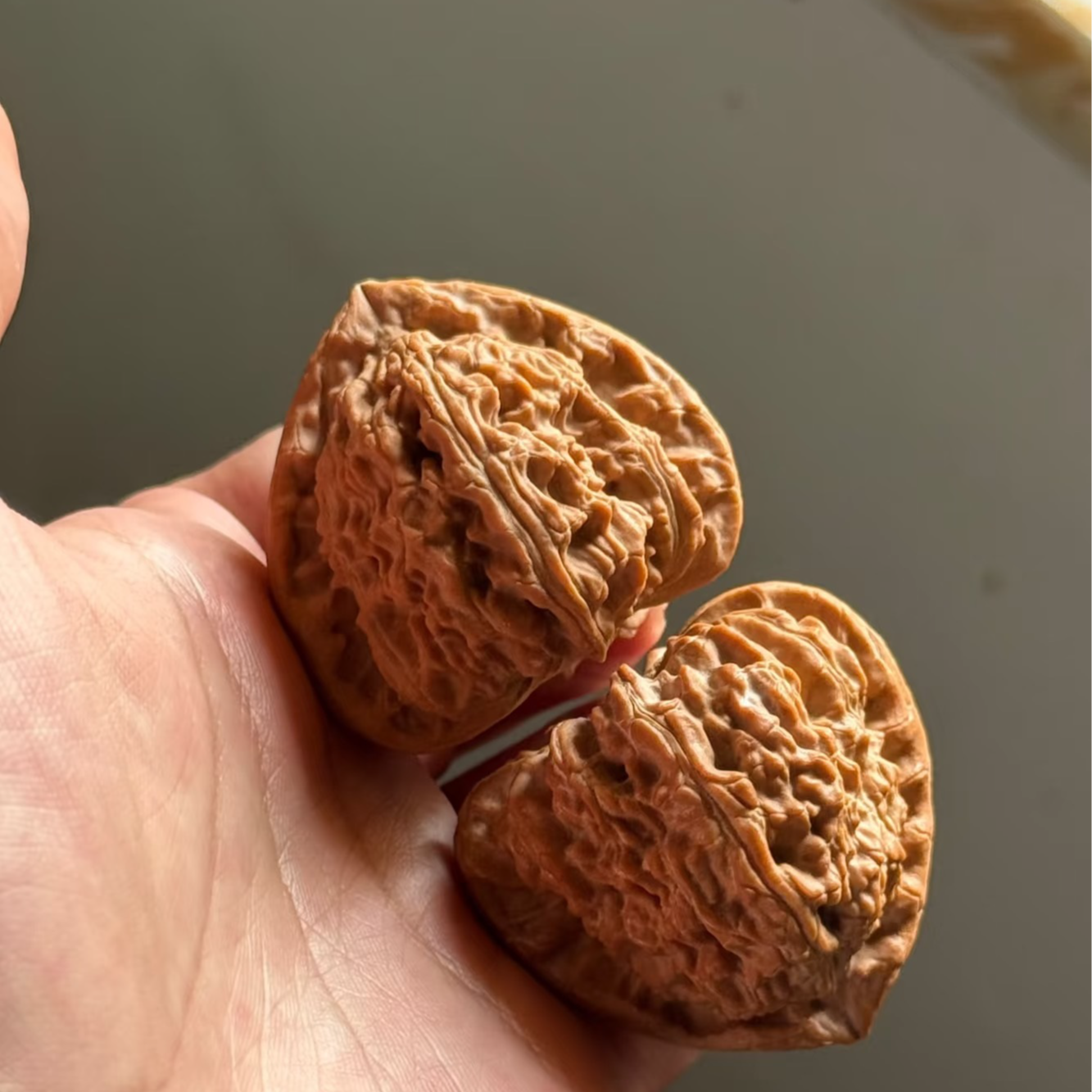 文玩核桃四大类苹果园白狮子三棱蛤蟆头宫灯狮子头等精品文玩核桃