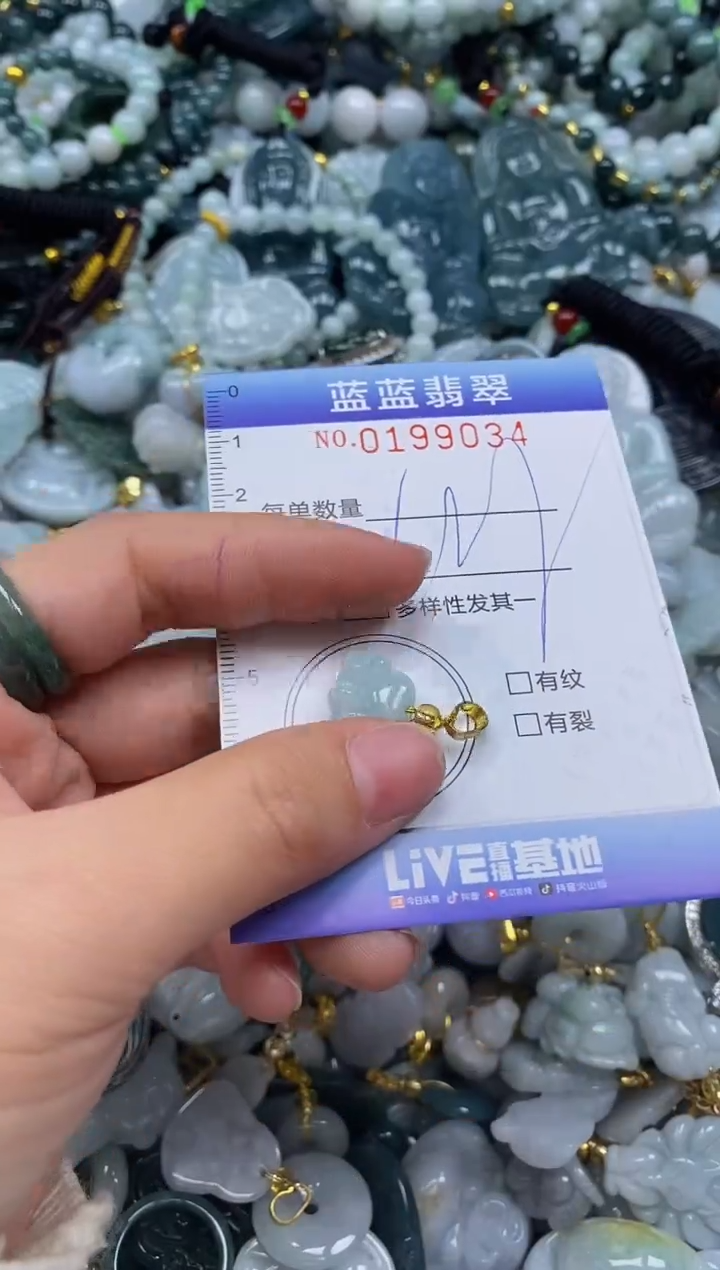 翡翠未镶嵌颈饰闪购0199034