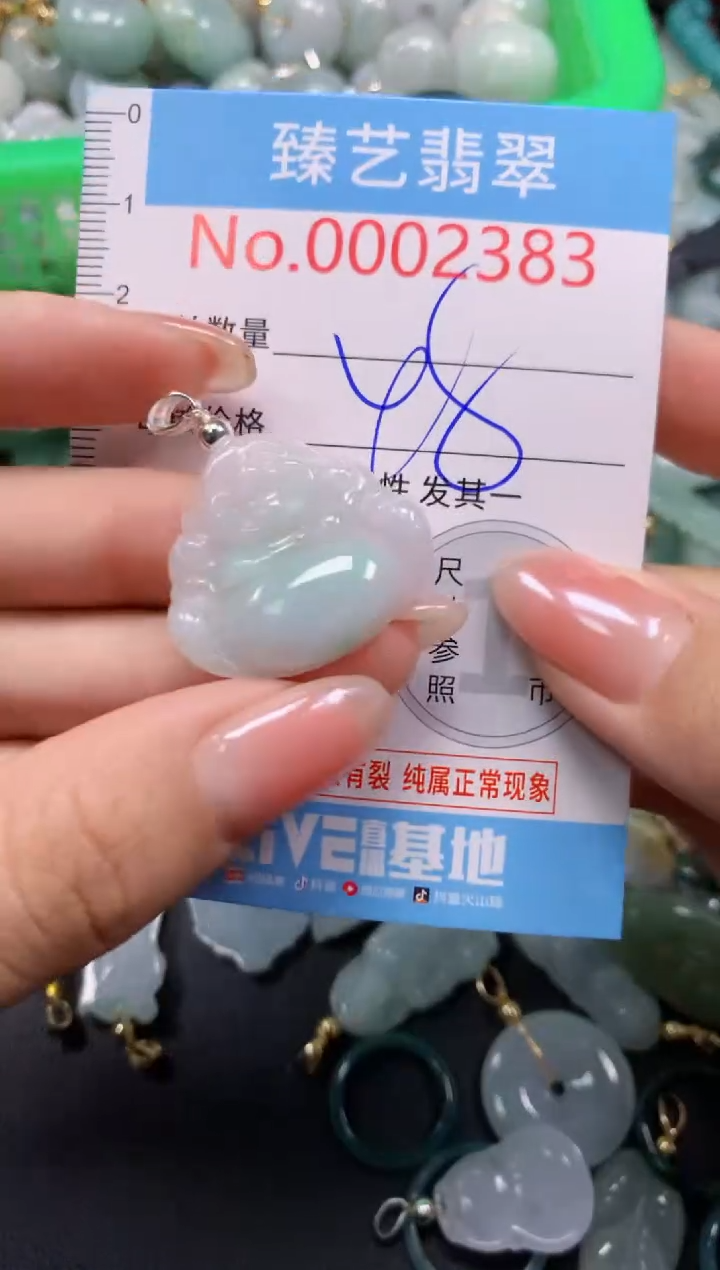颈饰未镶嵌翡翠2383