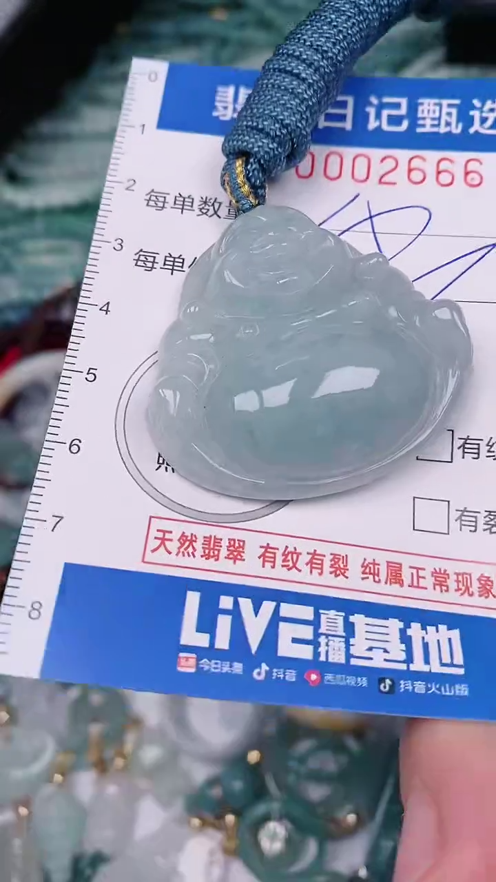 【闪购商品】翡翠颈饰未镶嵌00002666