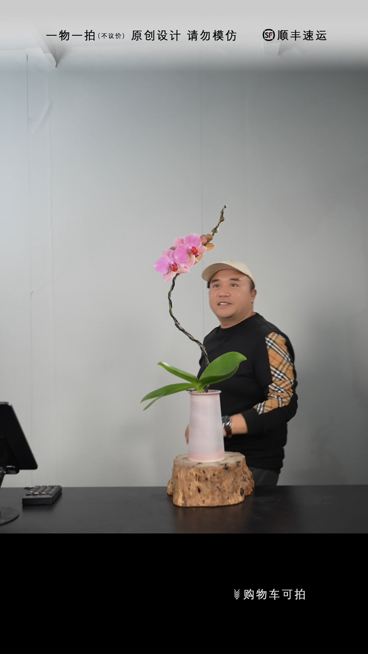 【闪购商品】093号链接【一物一拍】艺术盆景