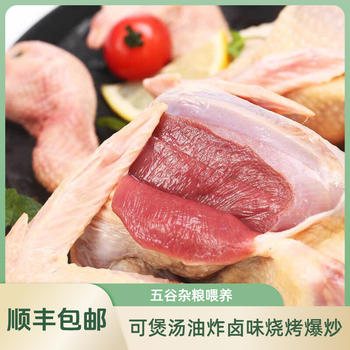 五谷杂粮喂养新鲜现杀鸽子单只净重6到7两孕妇煲汤滋补整只包邮