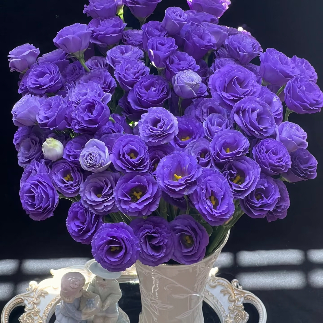 【600g紫色洋桔梗】鲜花收到先醒花~云南鲜花批发基地直发