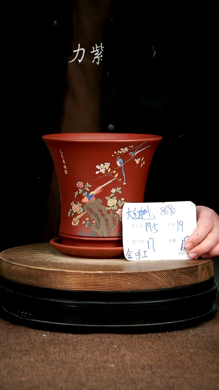 紫砂花盆花卉园艺8690+Z