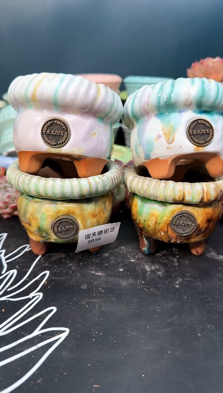 20  56  景天盆 4个 默认微瑕