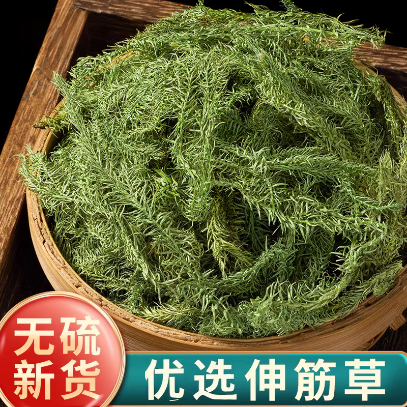 伸筋草中药材甄选道地原产地自然晾晒可搭配透骨草泡脚