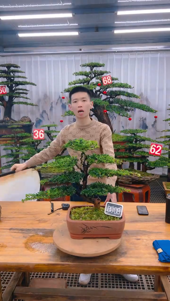 【闪购商品】紫砂精品盆景直播间一物一拍