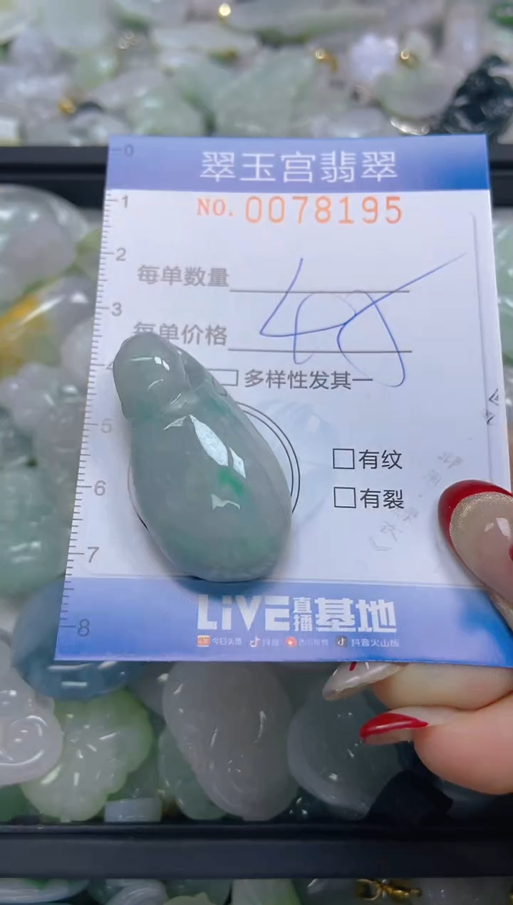 【闪购商品】翡翠颈饰未镶嵌闪购0078195