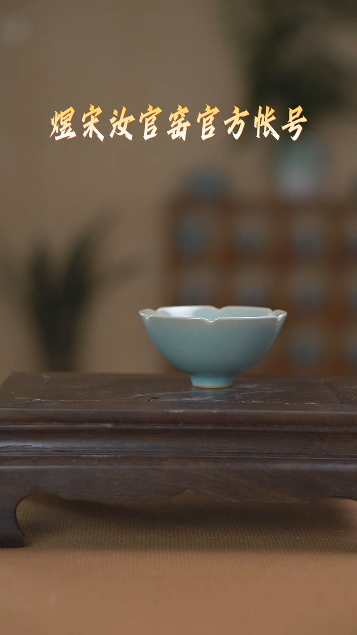 【闪购商品】碗杯浮力..............