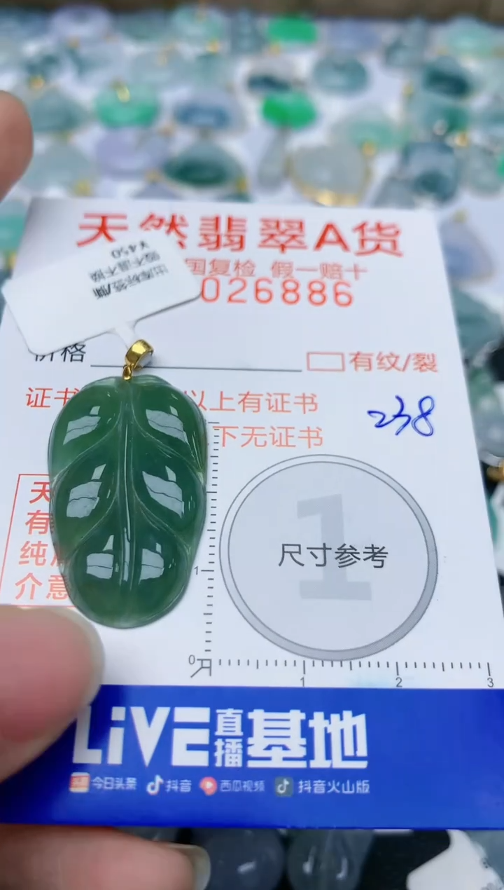 【闪购商品】翡翠颈饰18K金镶嵌天然翡翠A货    238