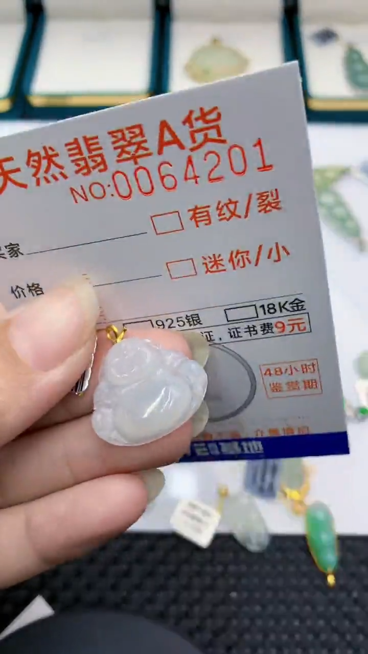 【闪购商品】翡翠颈饰18K金镶嵌            8