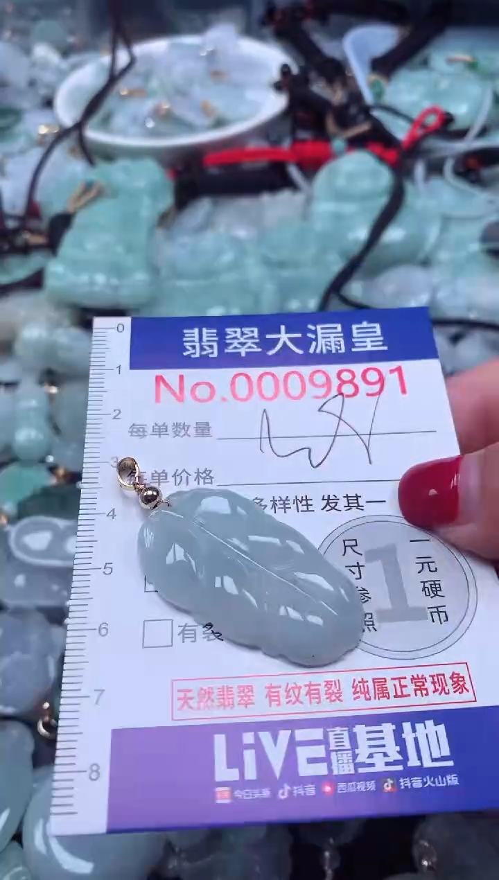 颈饰未镶嵌翡翠9891