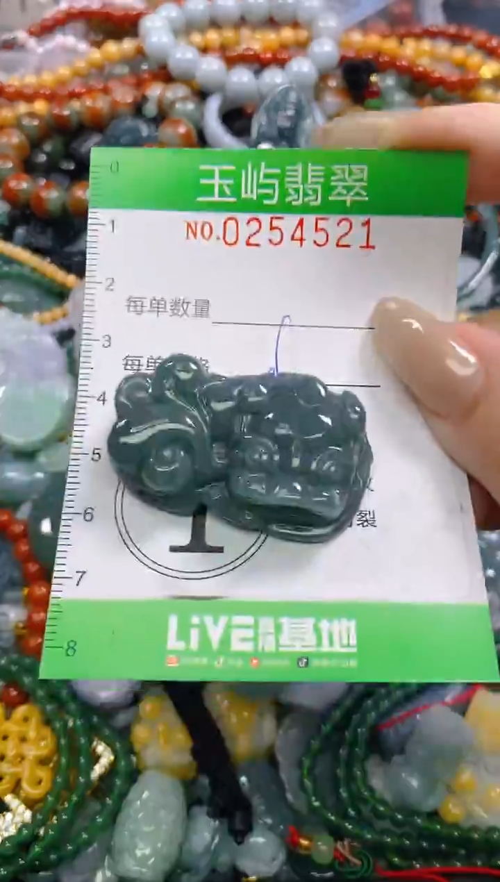 颈饰未镶嵌翡翠闪购0254521