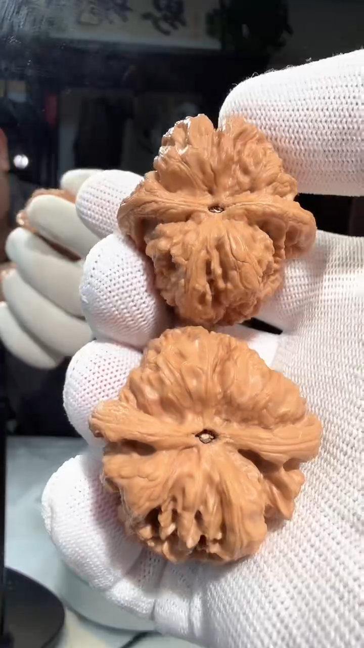 枣木003将军膀40