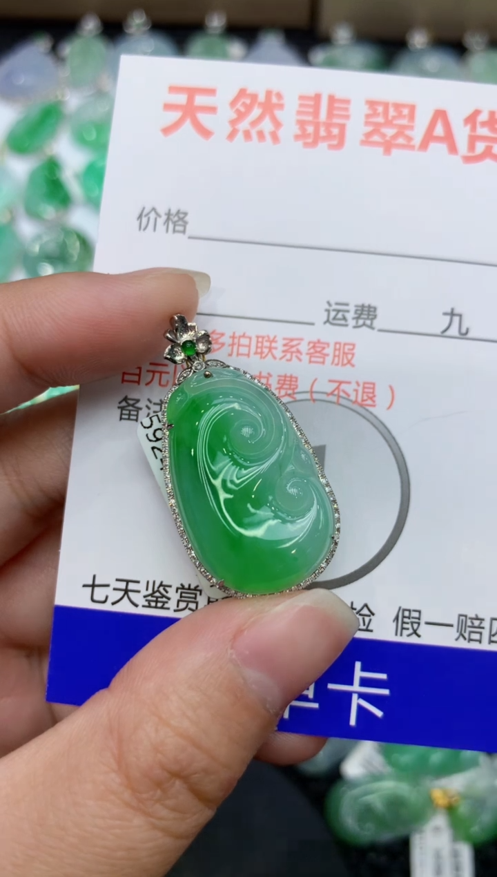 【闪购商品】翡翠颈饰18K金镶嵌111111111111