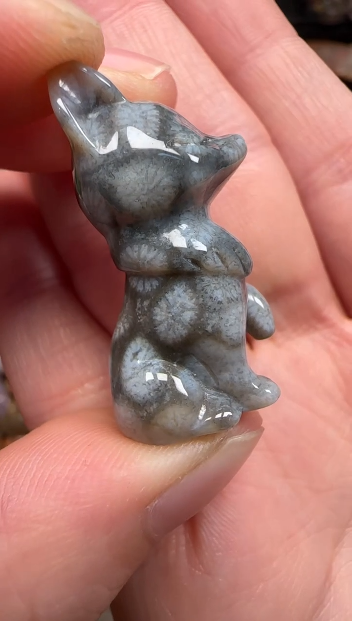 硅化珊瑚（珊瑚玉）未镶嵌颈饰141